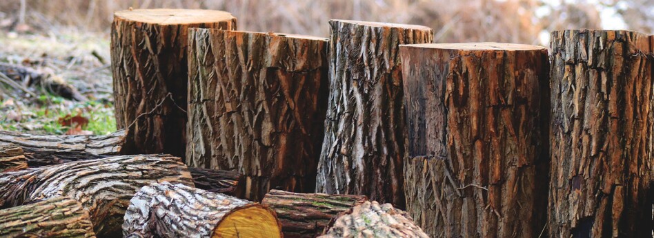 WHAT OUR CLIENTS SAY - Read our latest testimonials...